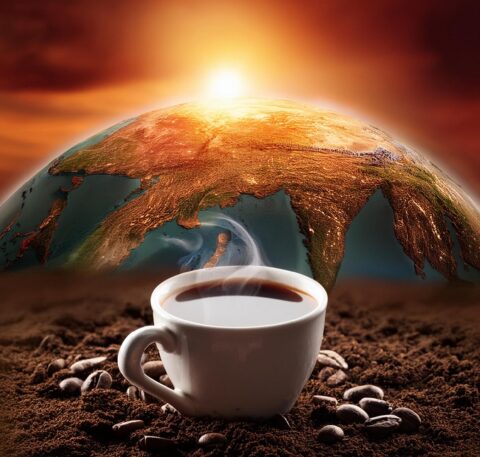 Могат ли учените да спасят кафето?